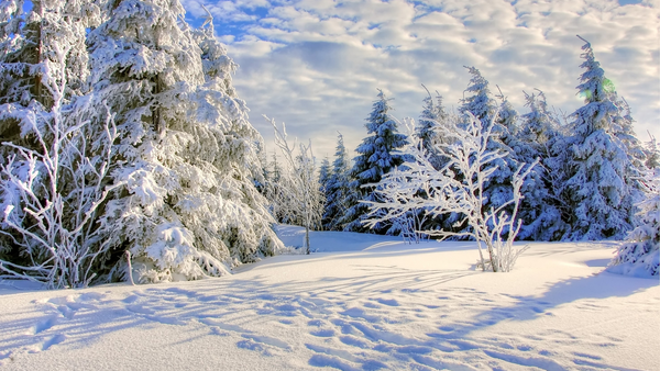 Beautiful, snowy wintery scene. | Heat Holders®