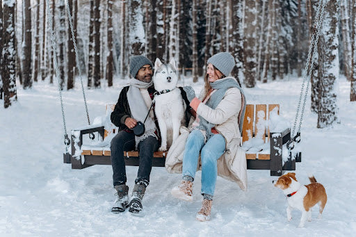 A couple and their two dogs enjoy a wooden swing on a snowy winter day. | Heat Holders® and Raynauds